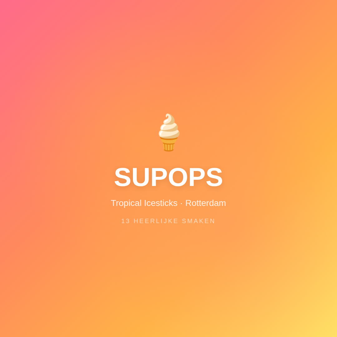 Integratiepartners project